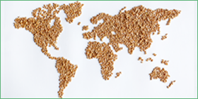 Perspectivas globales del sector agroalimentario en un entorno proteccionista